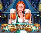 Heidi Hilde Und Helga Go Wild